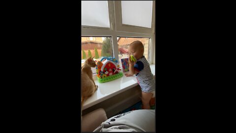 Cute baby playing with cat