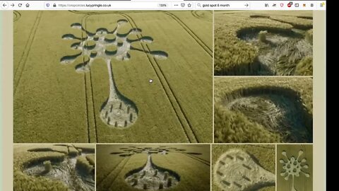 Crop Circles, Best Evidence & Explanation Yet, Lucy Pringle, Latest, The Earth is Alive & Well, 2020