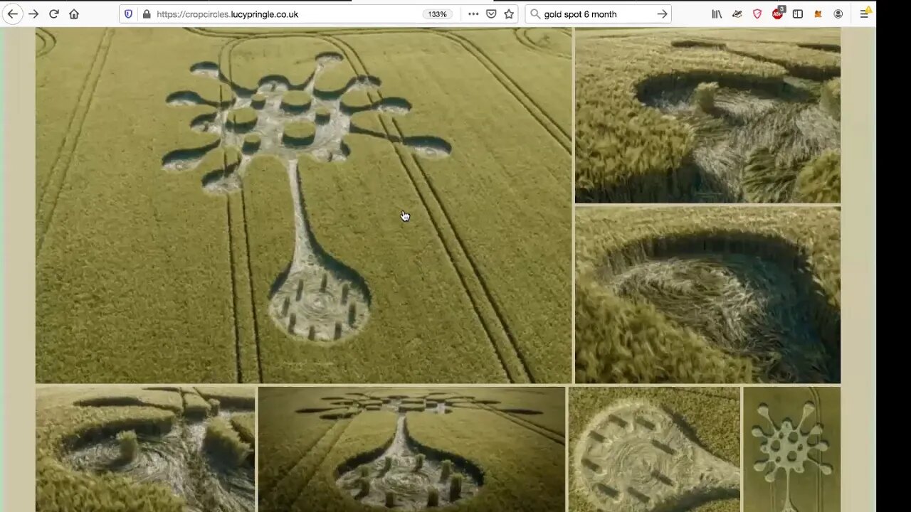 Crop Circles, Best Evidence & Explanation Yet, Lucy Pringle, Latest, The Earth is Alive & Well, 2020