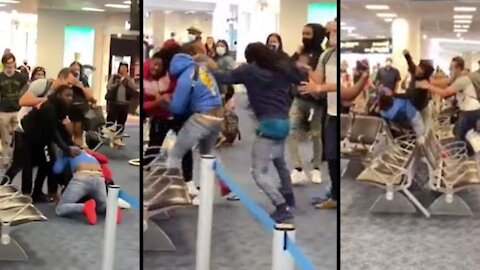 Brawl breaks out in Florida