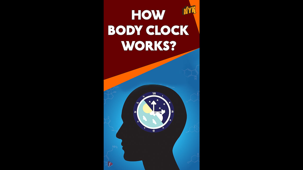 What is Circadian Rhythm *