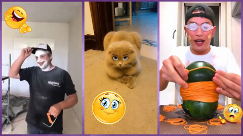 Best Funny Videos | Best Funny Fails | 2022 🤣