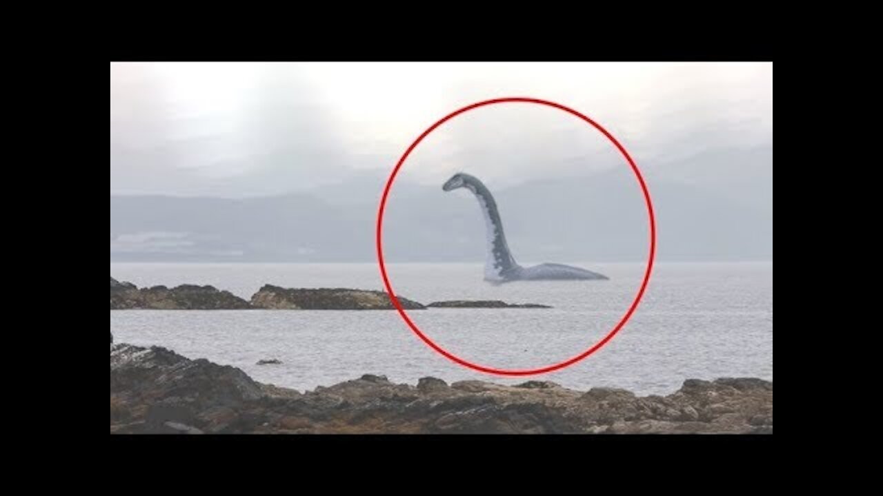 5 CAUGHT ON CAMERA SEA SERPENT