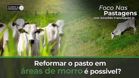 Foco nas Pastagens hoje sobre reforma de pastos em morros
