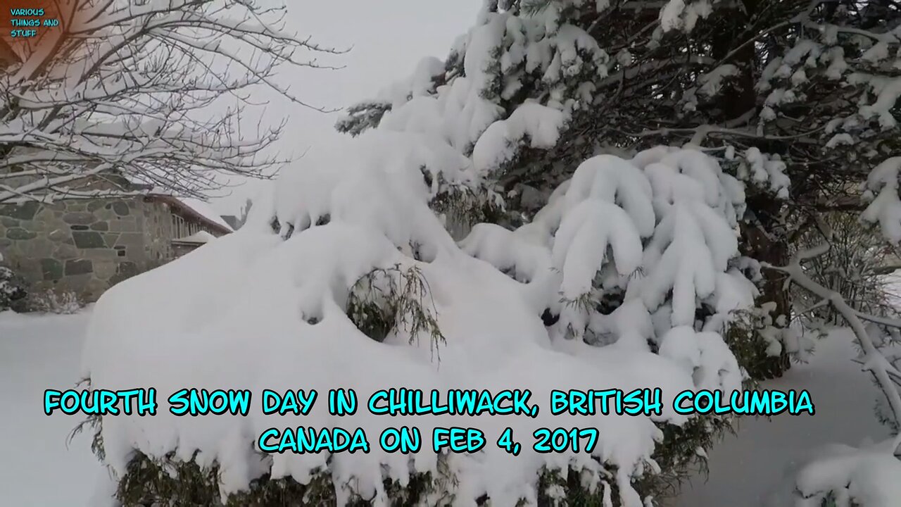 Fourth Snow day in Chilliwack, BC on Sat, February 4, 2017