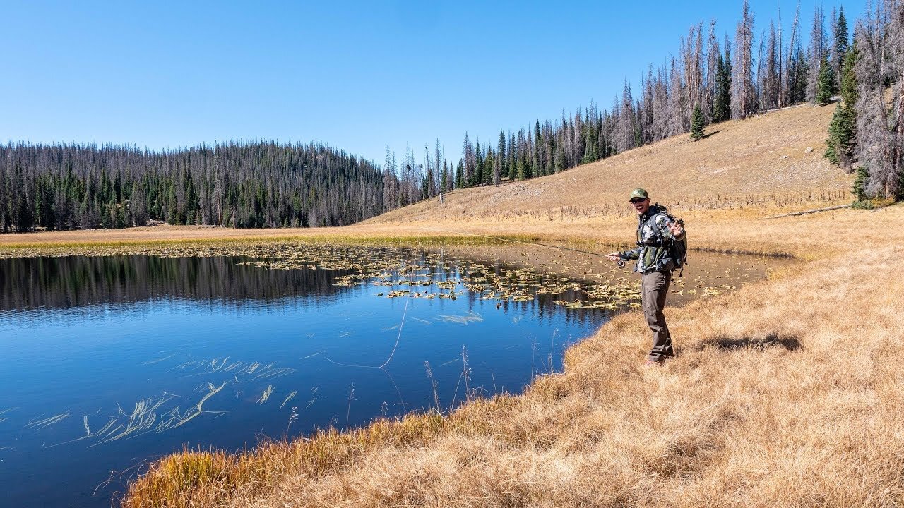 Remote Mountain Lake Fishing | Backpacking with Fly Rod