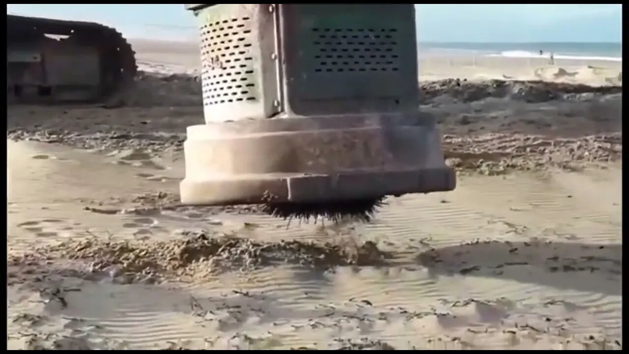 Beach Cleaning
