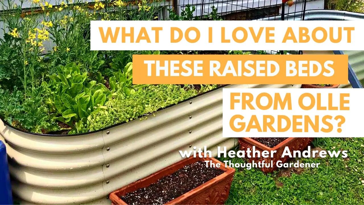 What do I love about these Raised Beds from Olle Gardens?