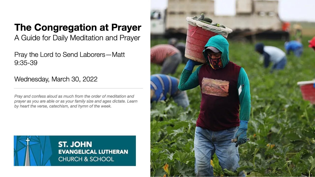 Pray the Lord to Send Laborers—Matt 9:35-39