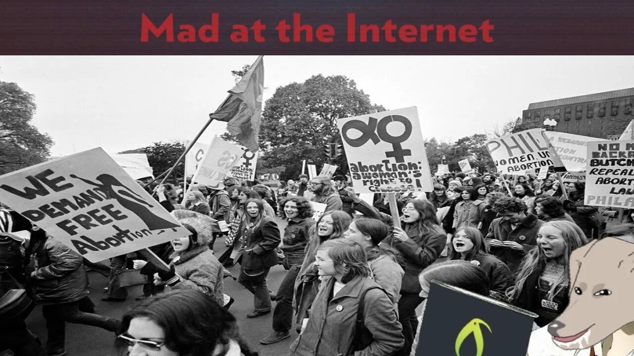 The History of Roe V Wade - Mad at the Internet