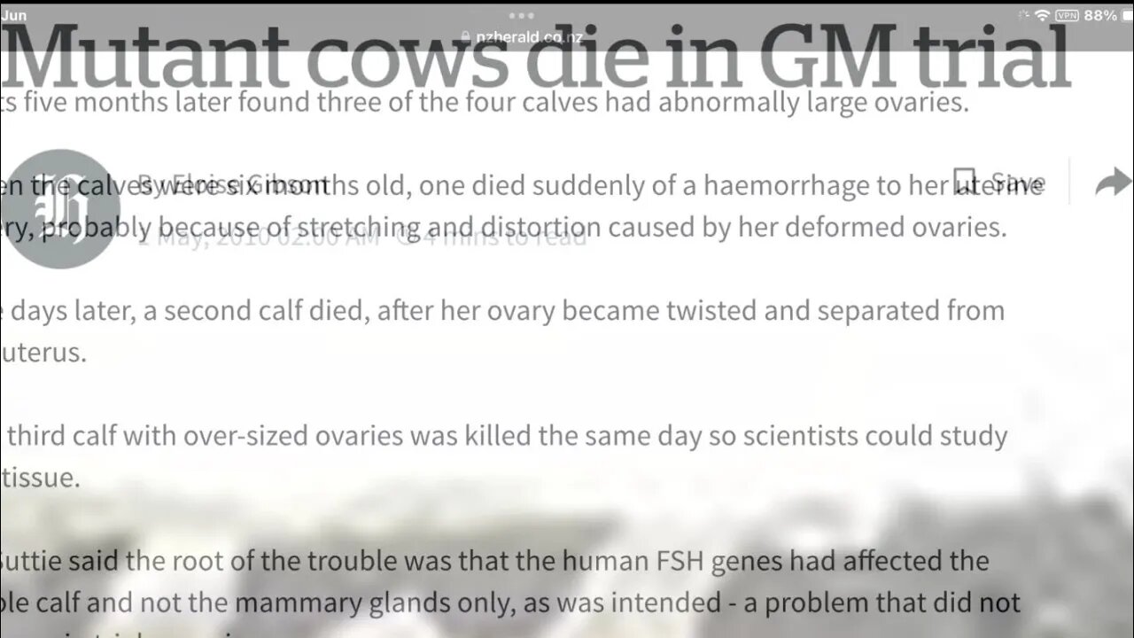 GM MUTATED COWS DIE BACK IN 2010 🤨 did you hear about it??
