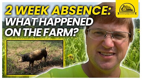 What Happened on the Farm While I Was Hospitalized for Two Weeks