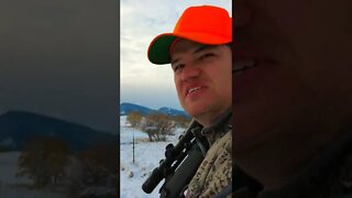 Reloading Weatherby Wyoming Whitetail Down!