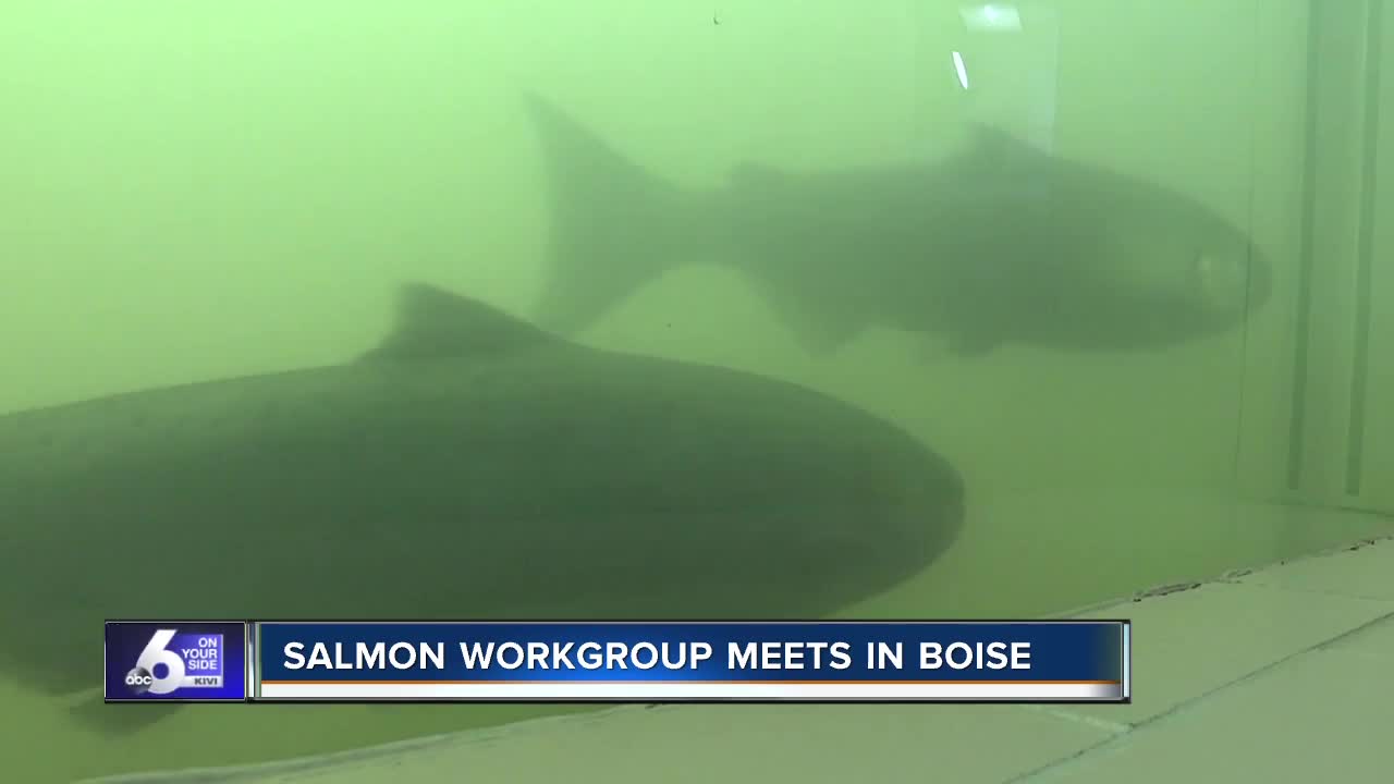 Governor's Salmon Work Group Looks to Address Salmon Recovery in Idaho