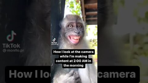 Don’t make content early in the morning 😴