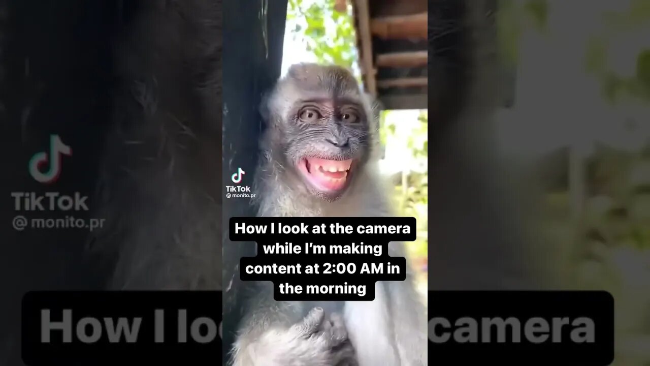 Don’t make content early in the morning 😴