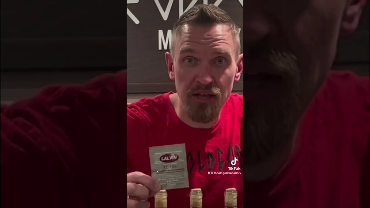 MEAD! Here is your Yeast! Get started!