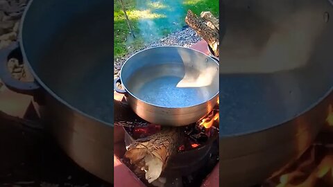 How To See If Your Pot Is Ready For Cooking Oil!! #basketball #jamaica #shorts #youtubeshorts