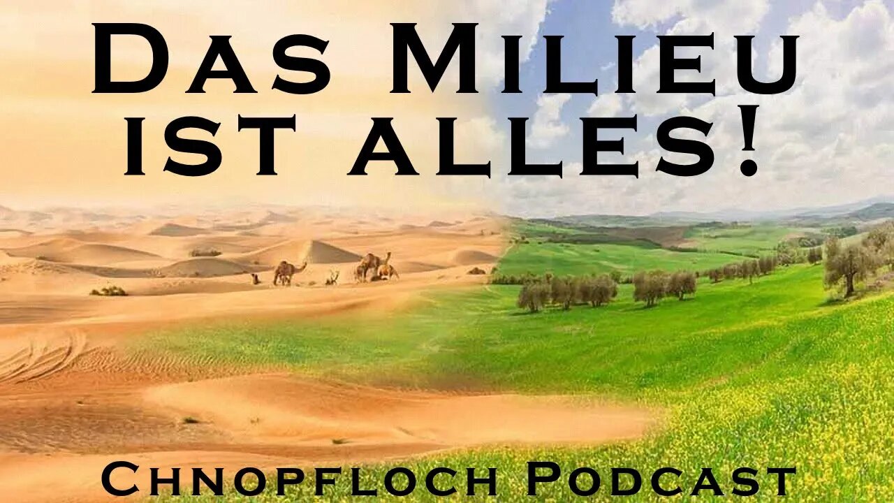 Das Milieu ist alles! - Chnopfloch Podcast