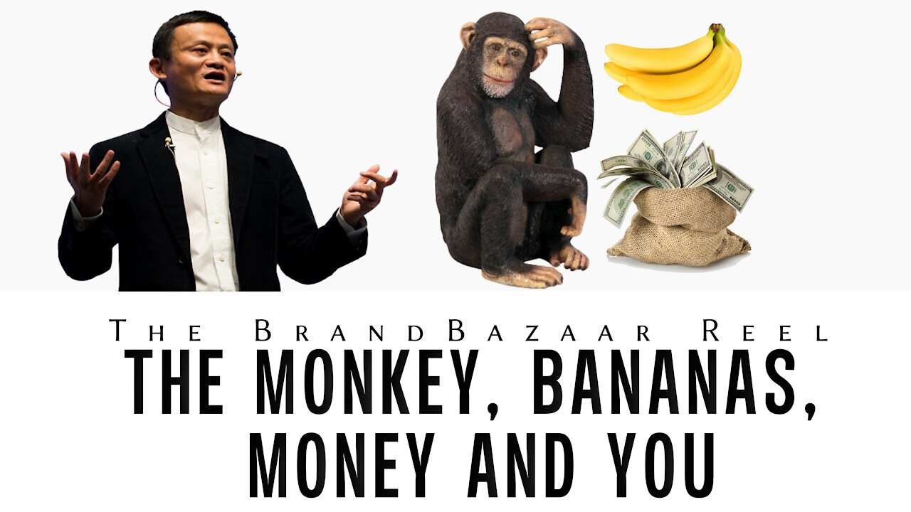 THE MONKEY, BANANAS, MONEY AND YOU