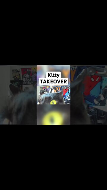 Kitty Wants Attention During Stream! #youtubeshorts #shortvideo #cat #kitty #streetfighter6