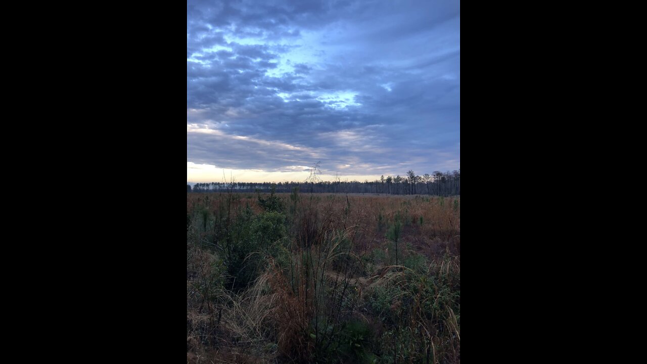 Public Land- Do This When Scouting For Turkeys!