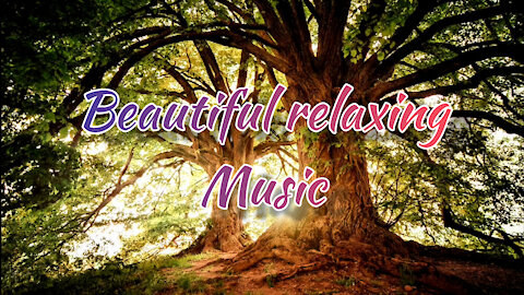 Beautiful relaxing music and nature sounds to relieve stress