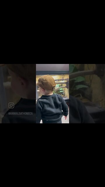 The best part about keeping reptiles