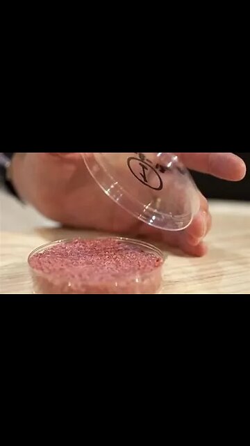 Worlds largest meat processing facility to be built in 2024