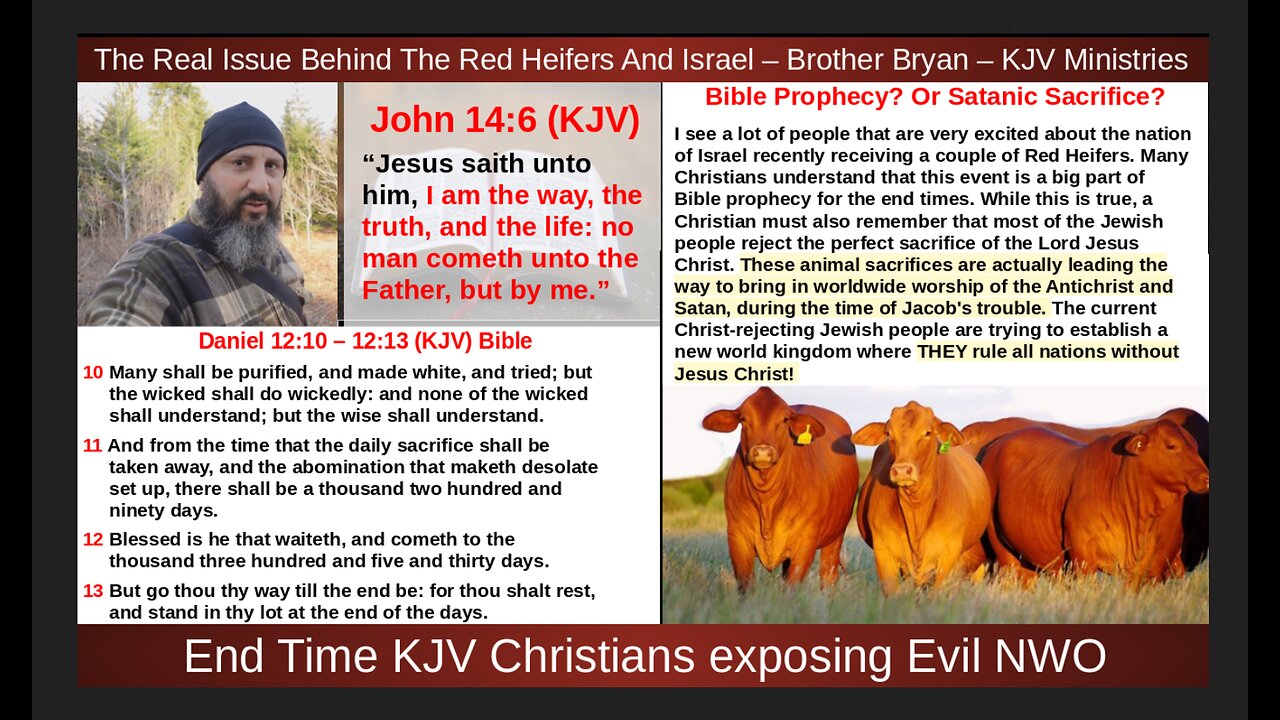 The Real Issue Behind The Red Heifers And Israel – Brother Bryan – KJV Ministries