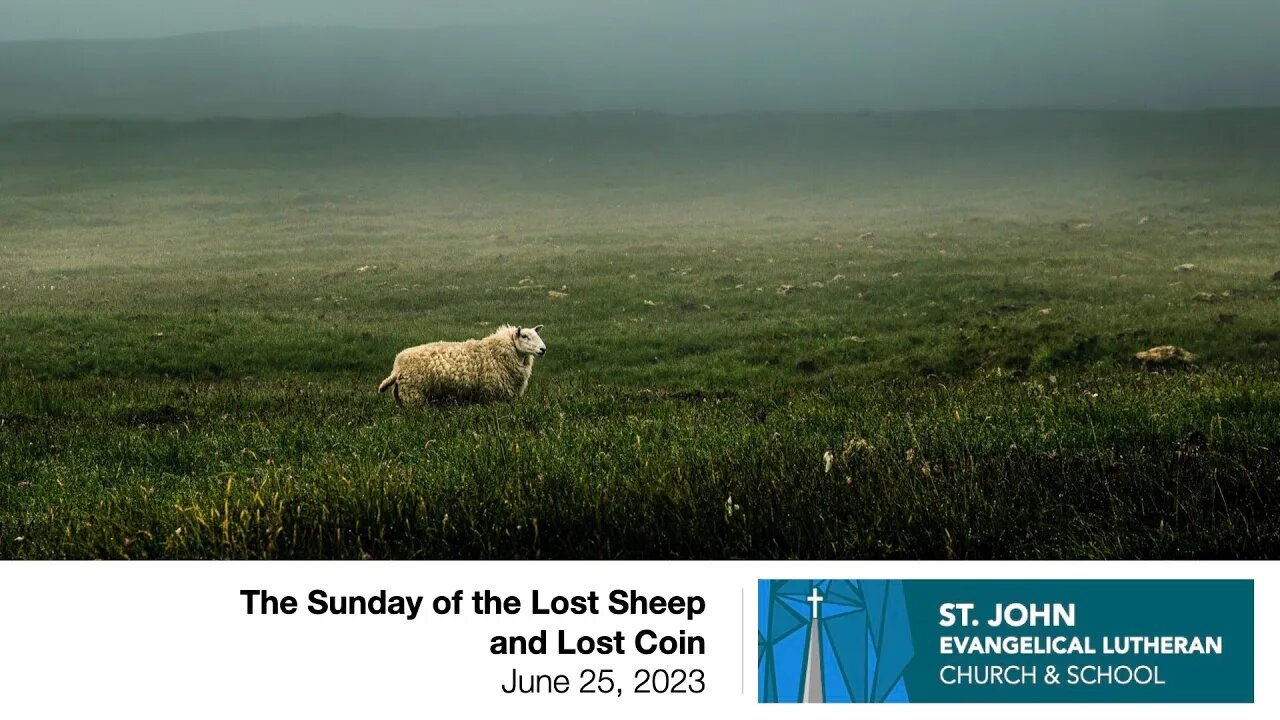 The Sunday of the Lost Sheep and Lost Coin — June 25, 2023