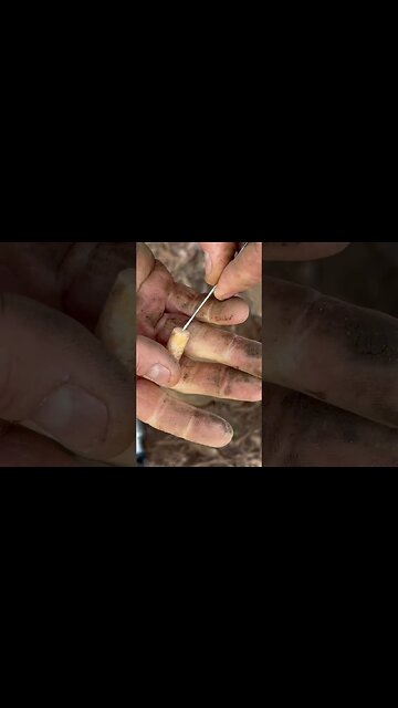 Learn How to Create a Simple Compass Using Just a Needle!