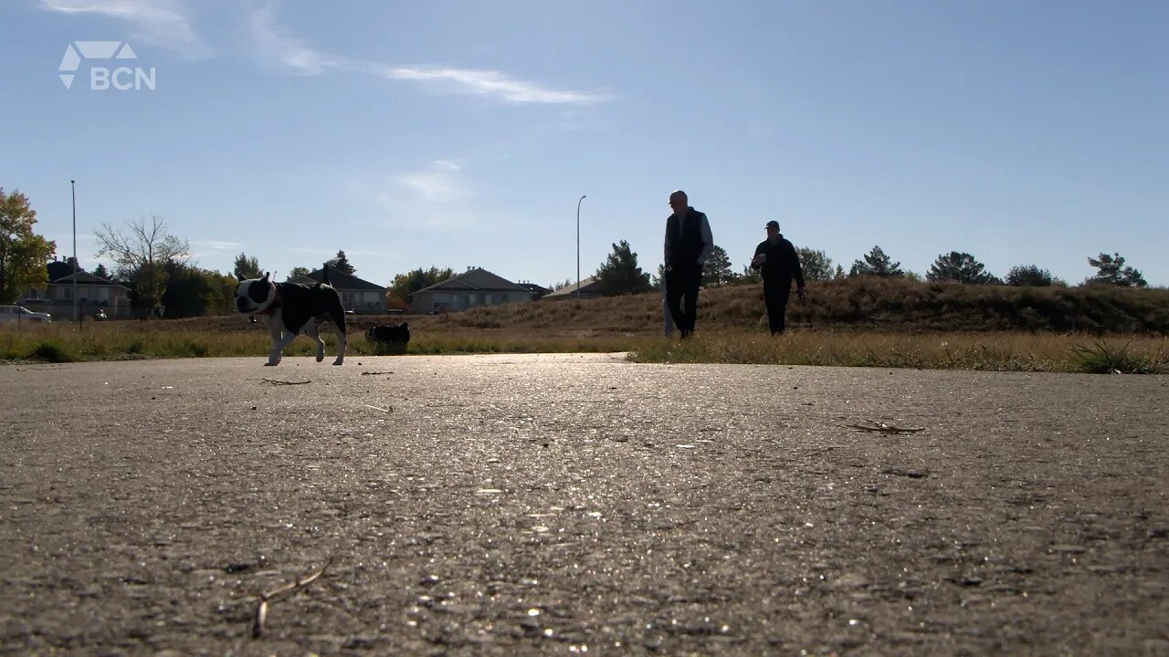 New Off-Leash Dog Park Opens In Lethbridge - October 13, 2022