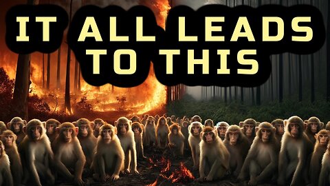 Monkeys Escape BioLab, Still on the Loose, California Burns & Saudi Arabia gets Snow for First Time