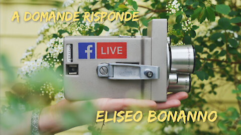 ELISEO BONANNO :A DOMANDE RISPONDE