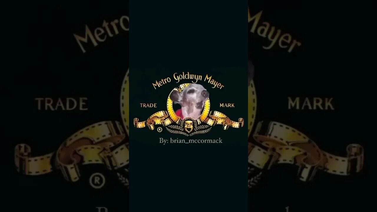 olha que legal