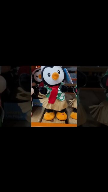 FLORIDA CHRISTMAS PENGUIN! 🎄🐧 #shorts