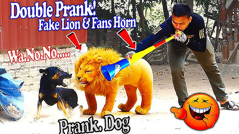 Troll Prank Dog Funny & fake Lion and Fake Tiger Prank To dog & Huge Box Prank to dog