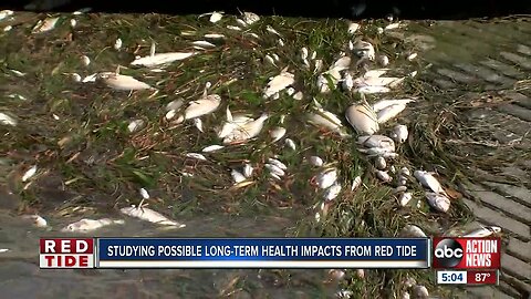 Health experts, researchers will study the long-term health impact of red tide on people
