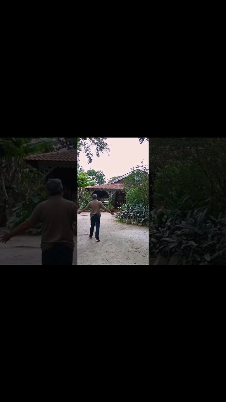 IMAGINA O QUANTO PEDRINHO SE EMOCIONOU AO RETORNAR AO SÍTIO DO PICAPAU AMARELO?!