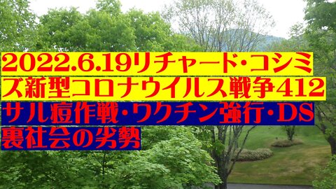 2022.6.19リチャード・コシミズ新型コロナウイルス戦争４１２