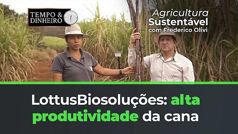 Lottus e STA: alta produtividade dos canaviais.