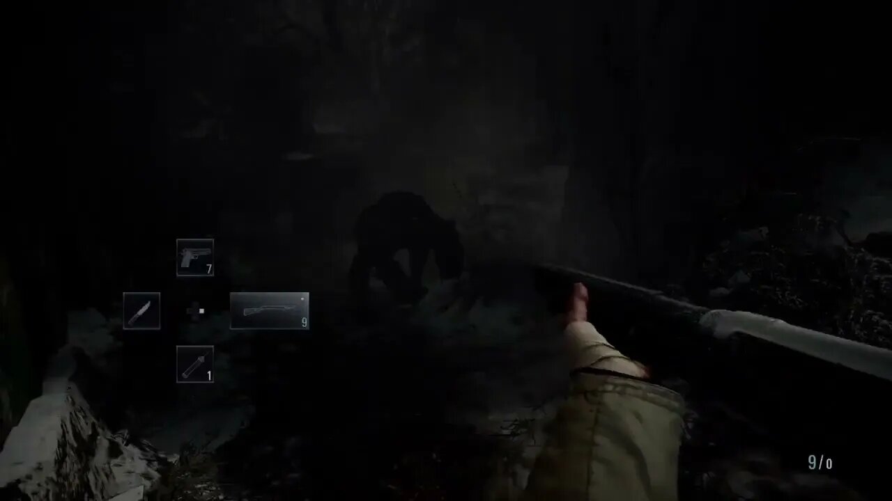 RE8 Village #12