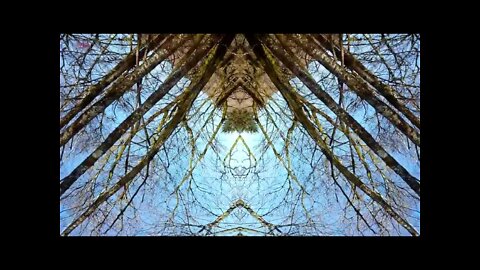 417Hz Walk Trough Transition - Solfeggio Frequency - Meditation Music