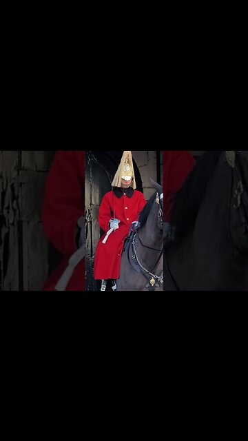 Don't hold the Reins The kings guard shouts #horseguardsparade full video in the link
