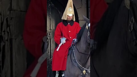 Don't hold the Reins The kings guard shouts #horseguardsparade full video in the link