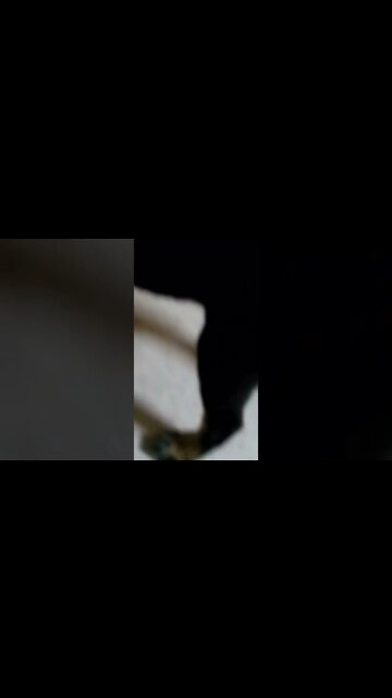 My Maxie as a baby ❤️