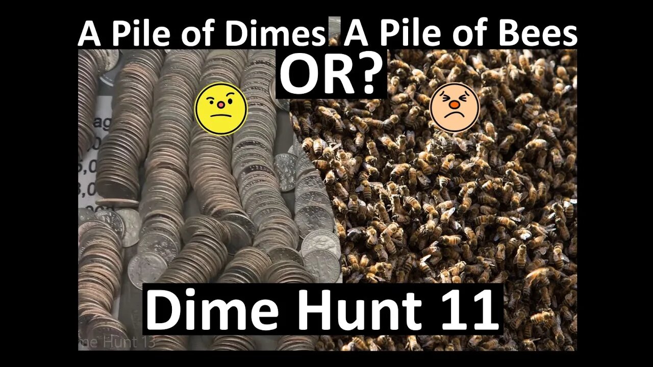 Which would you want to look through? A Pile of Bee or Dimes? - Dime Hunt 11