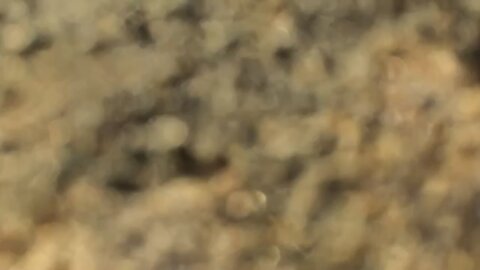 Cloud coverage Timelapse. Red river gorge!
