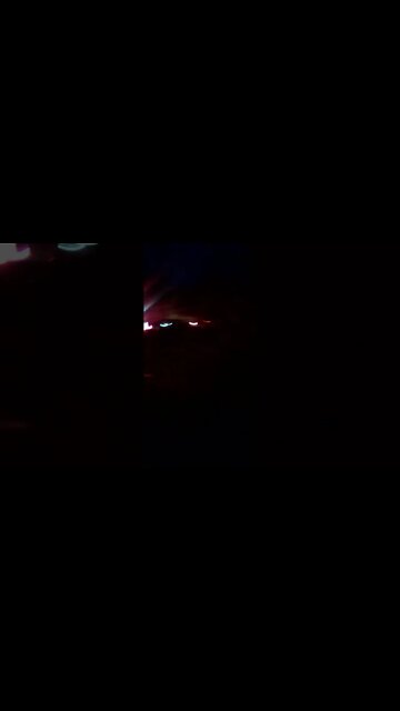 Nightmare on 24th Street